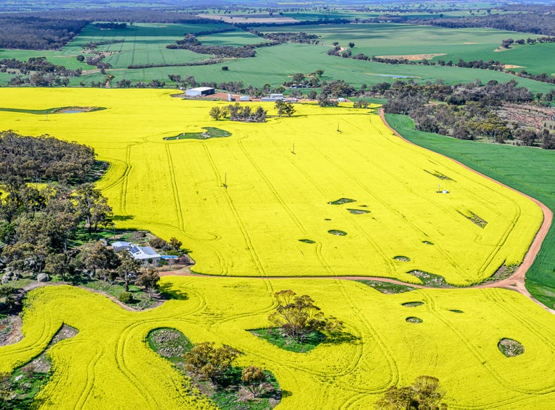 farm, canola crops, regional wa, Aerial Photography WA, Commercial Photography, Corporate, Mining, Industrial, Annual report, Business Plans, Commercial Photographer Perth, Aerial Photographer Perth, Peta-Anne North, Peta-Anne Photography, Photoart Australia, Peta-Anne Photography, Peta North, Peta-Anne North, Aerial Photography perth, 