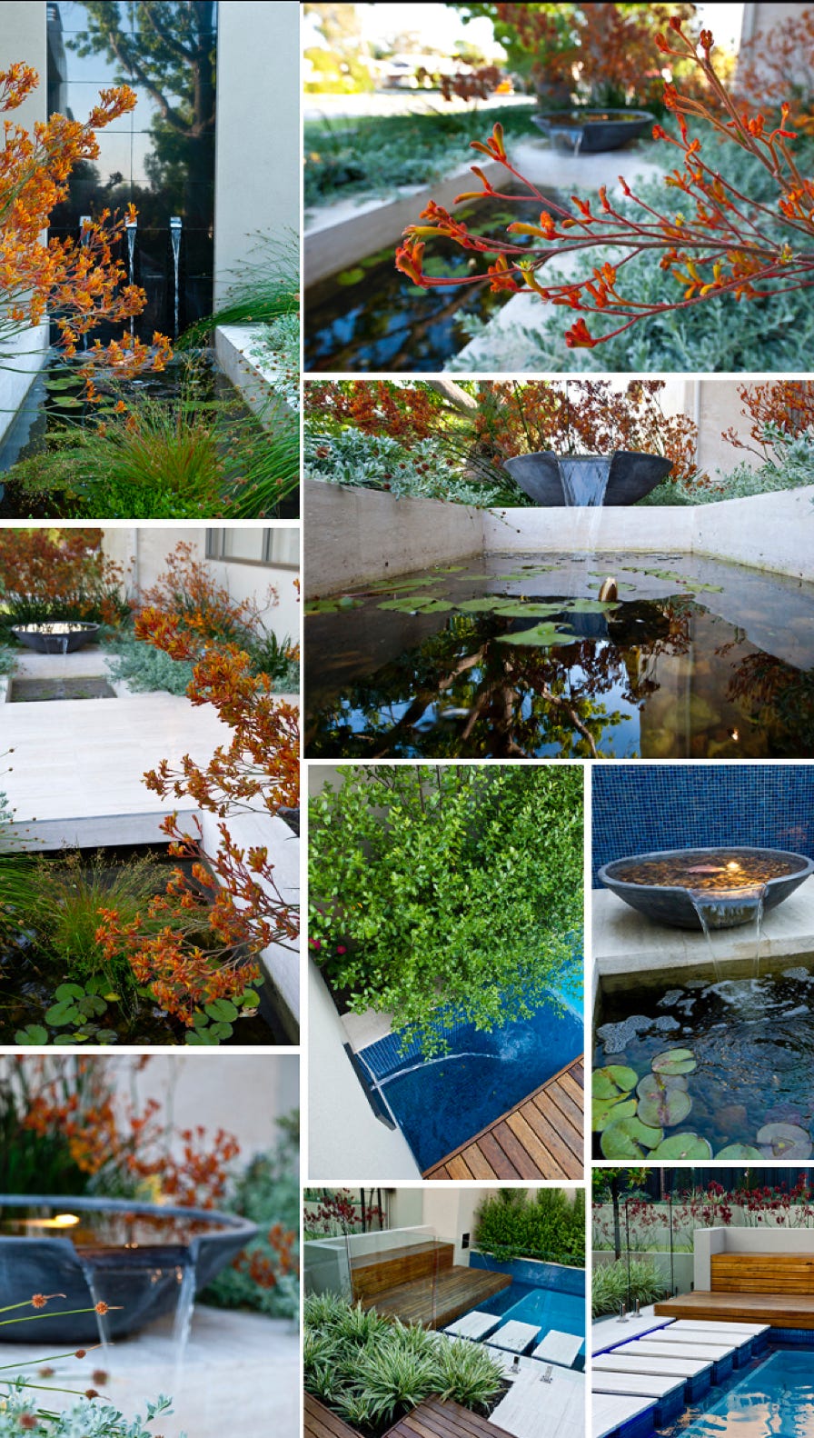 Corporate photography, corporate photographer perth, annual reports, business plans, infrastructure photography perth, mains roads, tunnel, construction, perth photographer, events, conferences, media events, industrial photographer, portraits, environmental portraits, mining photographer, mining photography, head shots,Janine Mendal design, Garden photography   