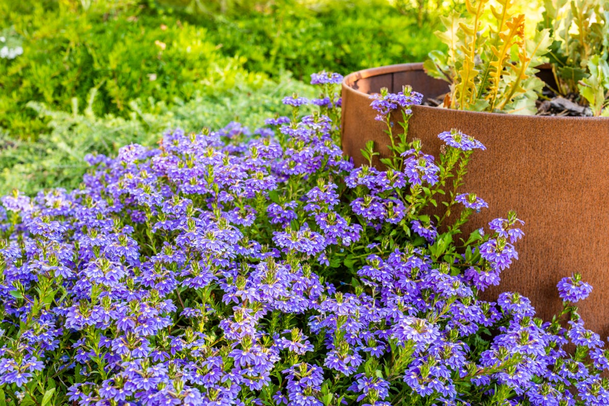 Corporate photography, corporate photographer perth, annual reports, business plans, infrastructure photography perth, mains roads, tunnel, construction, perth photographer, events, conferences, media events, industrial photographer, portraits, environmental portraits, mining photographer, mining photography, head shots,   garden photography perth, garden photographer perth